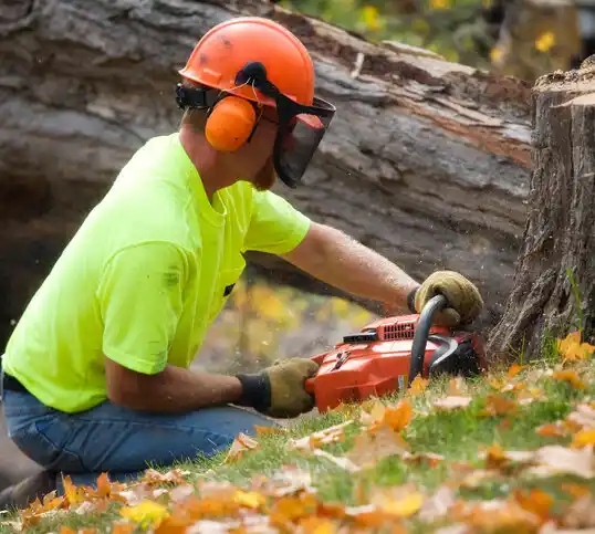 tree services Lordsburg